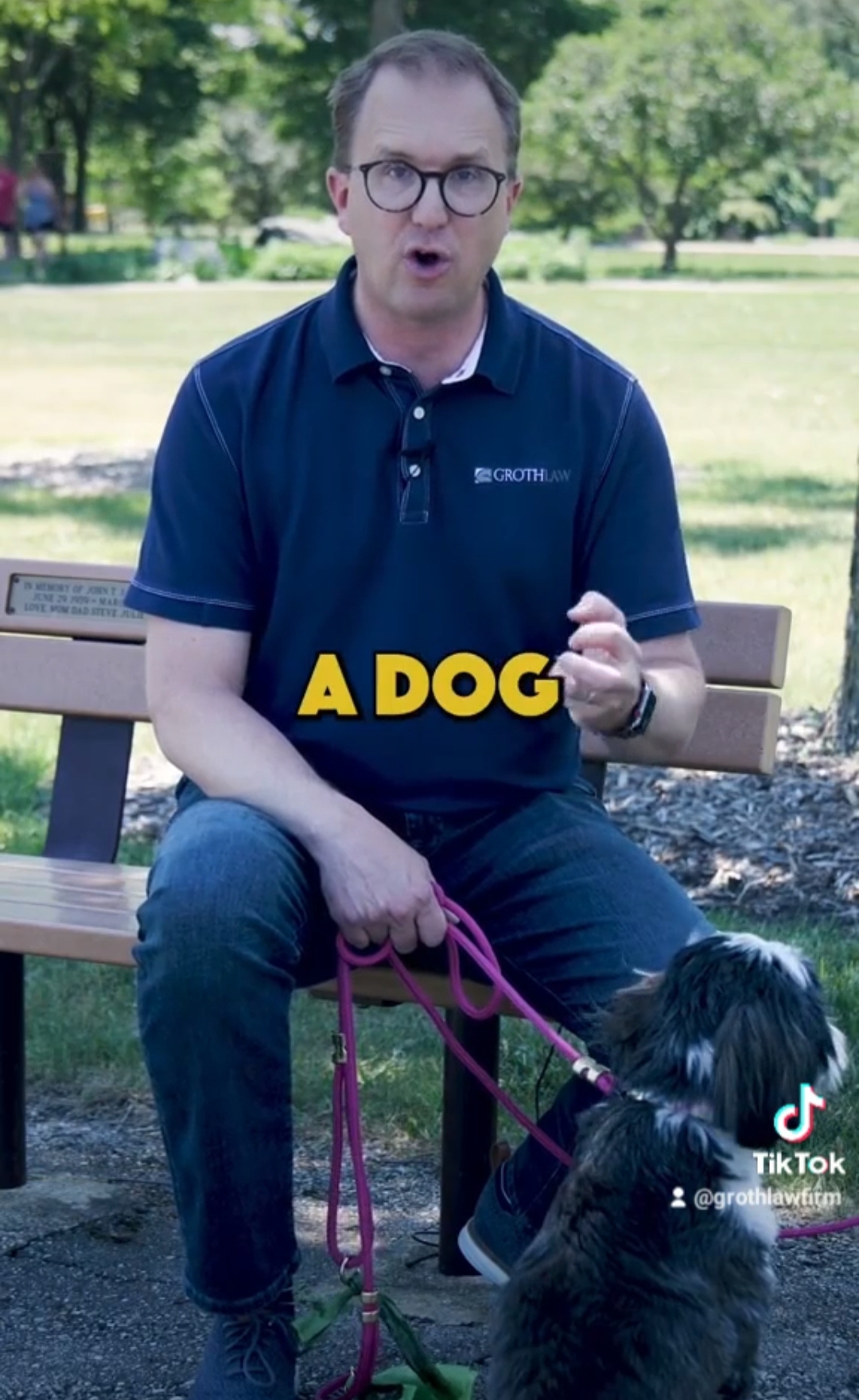 What If You re Bit By A Dog Groth Law Accident Injury Attorneys what-if-you-re-bit-by-a-dog-groth-law-accident-injury-attorneys